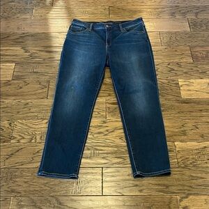 Chico’s So Slimming Girlfriend Slim Leg Ankle High Rise Size 2.5R/14R